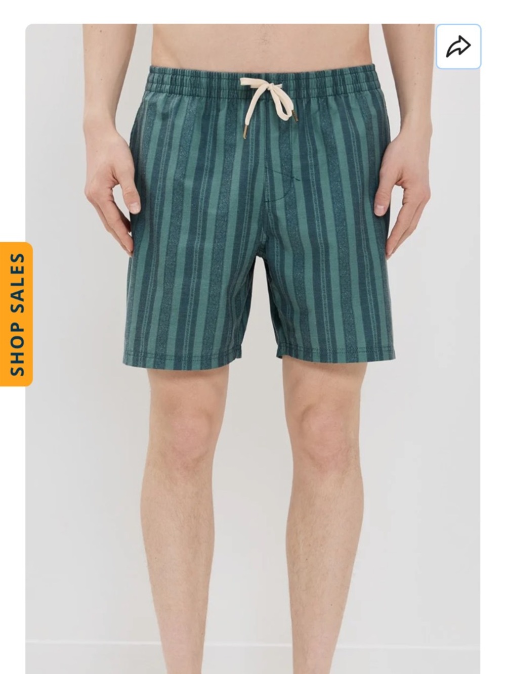 Rhythm Men's Green Striped Bathing Suit Shorts, size 30
